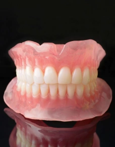 Dental model showing upper and lower teeth